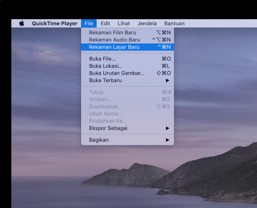 quicktime 7.3 for mac